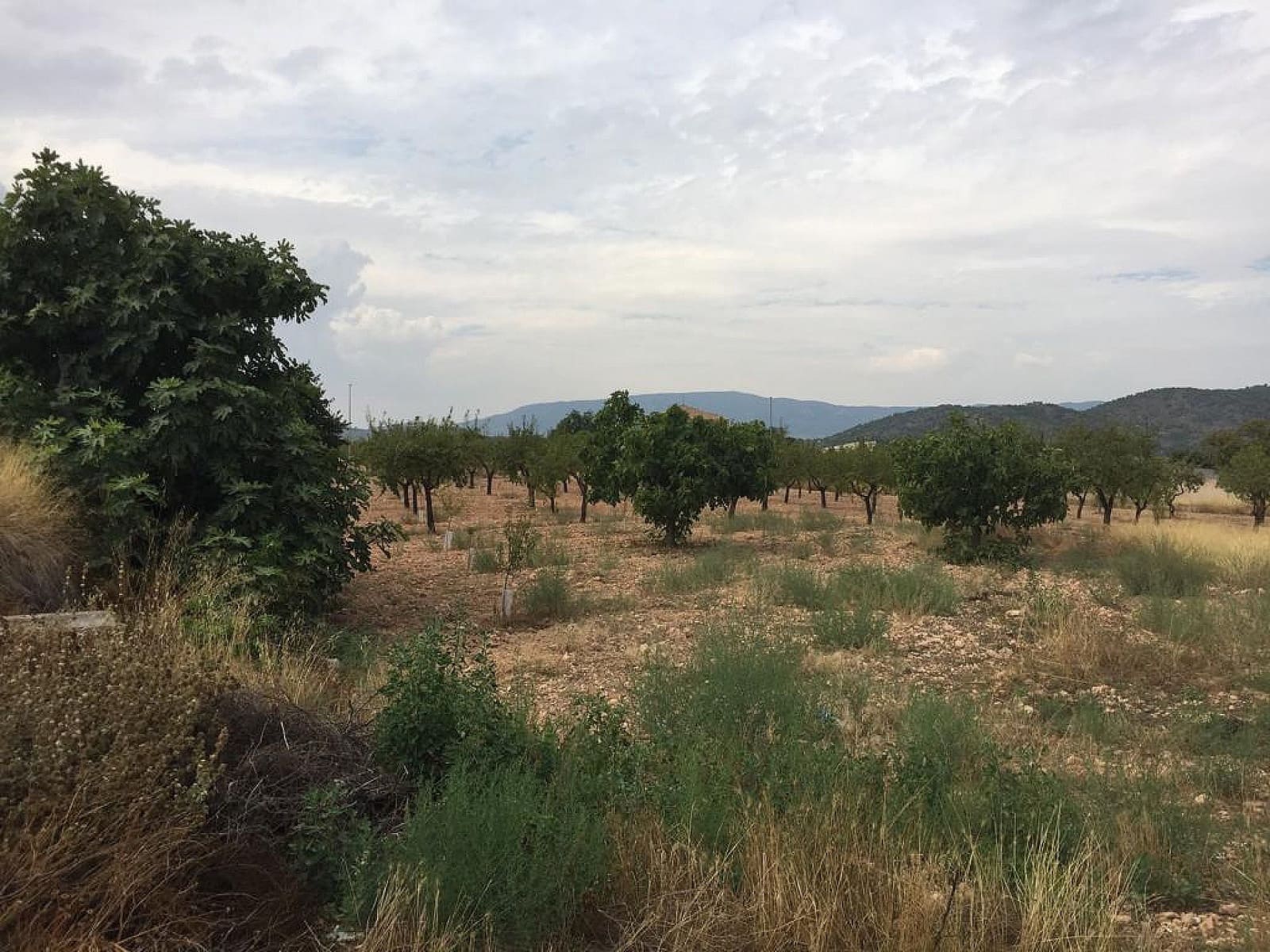 9 bedroom Villa for sale in Monovar / Monover - € 209,995 (Ref: 9278455)