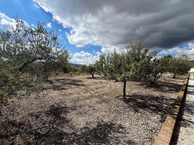 3 Zimmer Finca/Landgut zu verkaufen in Castalla - 234.950 € (Ref: 9282789)