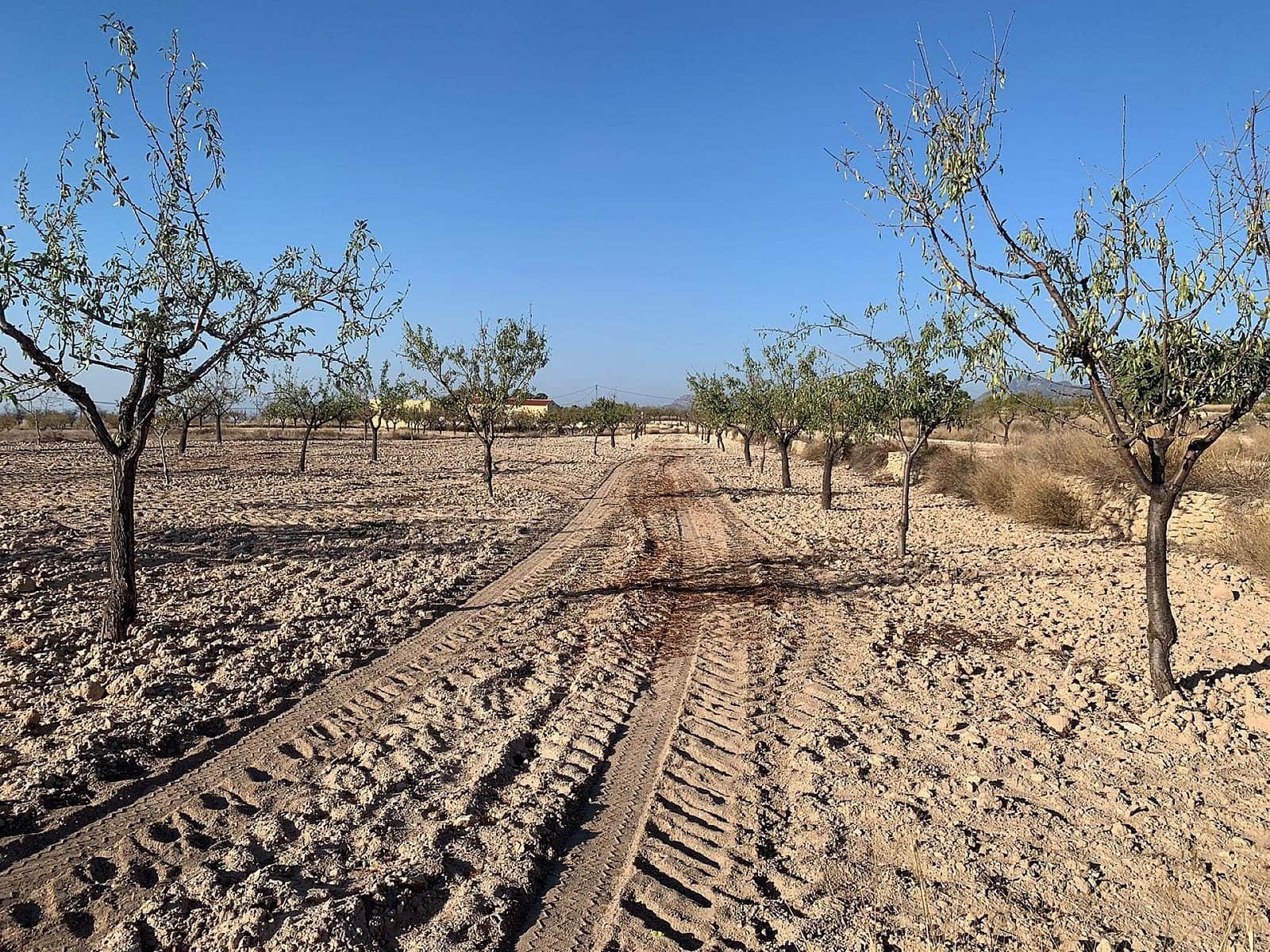 Ubebygd land til salgs i Macisvenda - € 40 000 (Ref: 9282794)