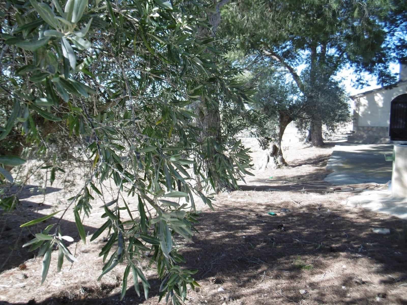 3 slaapkamer Villa te koop in Yecla met zwembad garage - € 210.000 (Ref: 9301336)