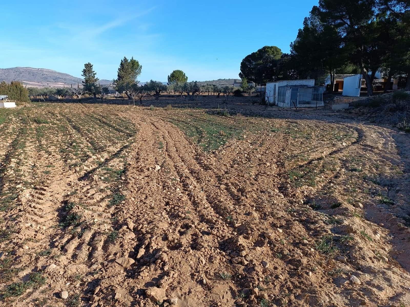 6 sypialnia Finka/Dom wiejski na sprzedaż w Yecla z basenem garażem - 130 000 € (Ref: 9301337)