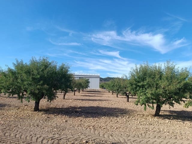 Mark till salu i Yecla - 360 000 € (Ref: 9301340)