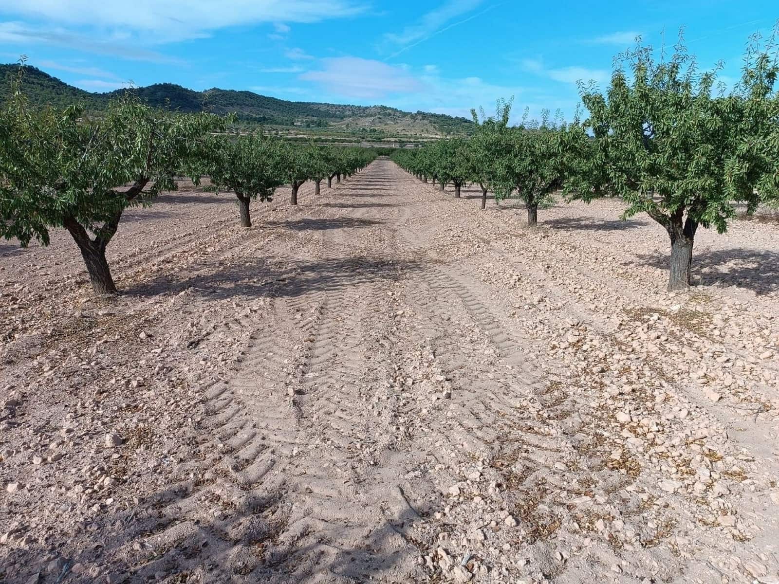 Mark till salu i Yecla - 360 000 € (Ref: 9301340)