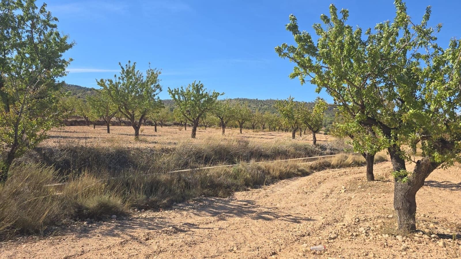 Teren niezagospodarowany na sprzedaż w Salinas - 52 500 € (Ref: 9301342)