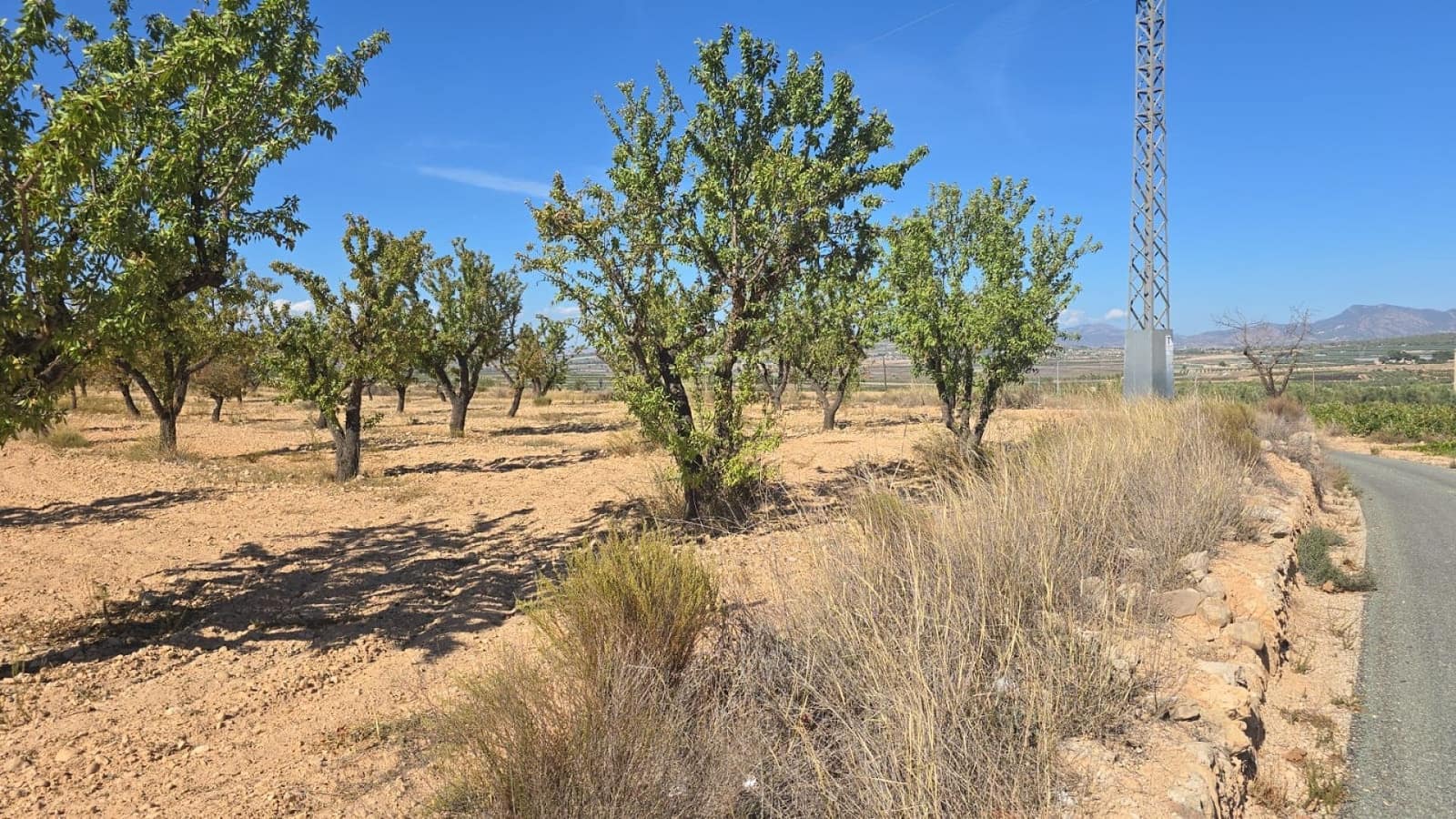 Teren niezagospodarowany na sprzedaż w Salinas - 52 500 € (Ref: 9301342)