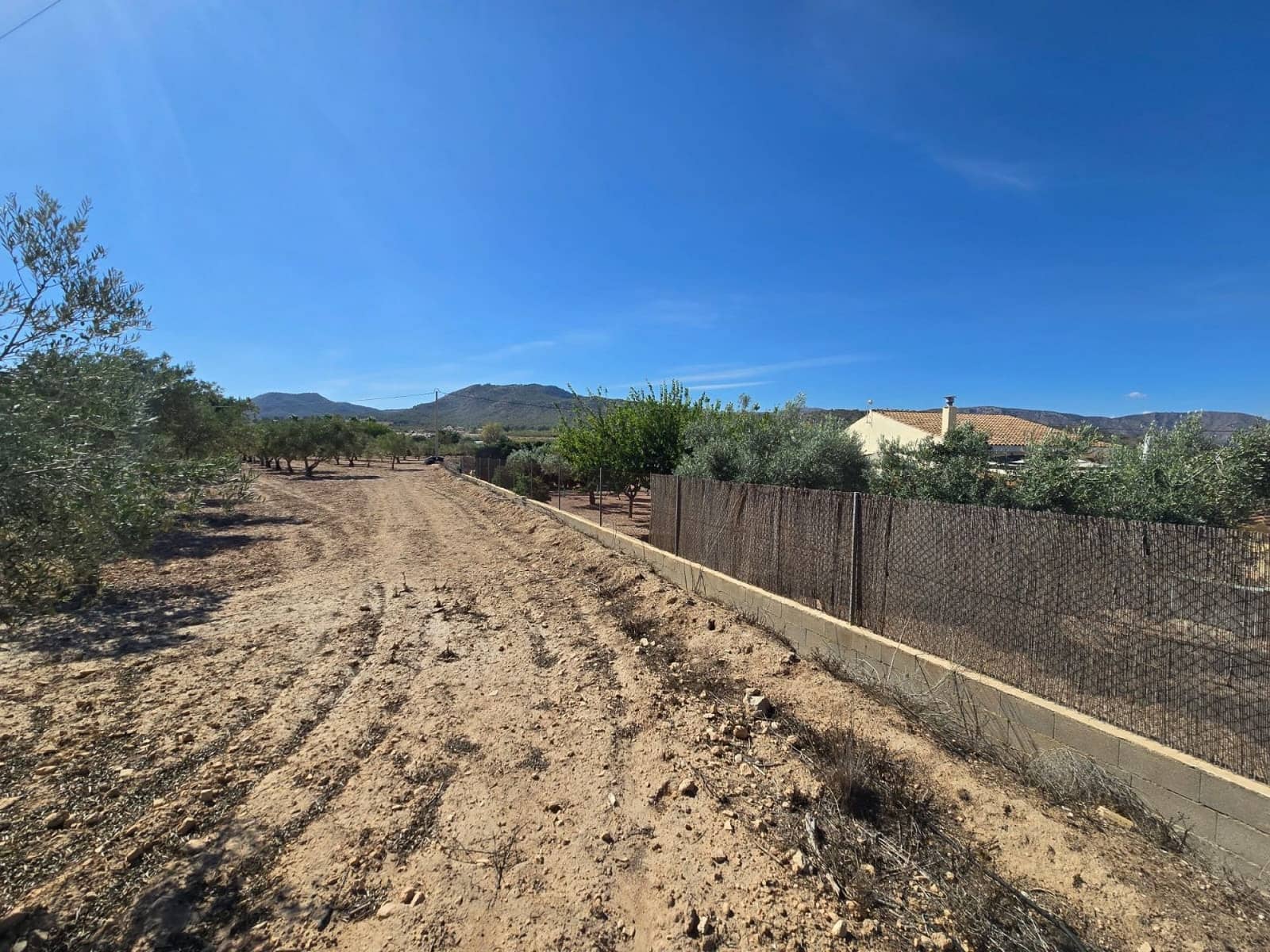 Teren niezagospodarowany na sprzedaż w Salinas - 60 500 € (Ref: 9301343)