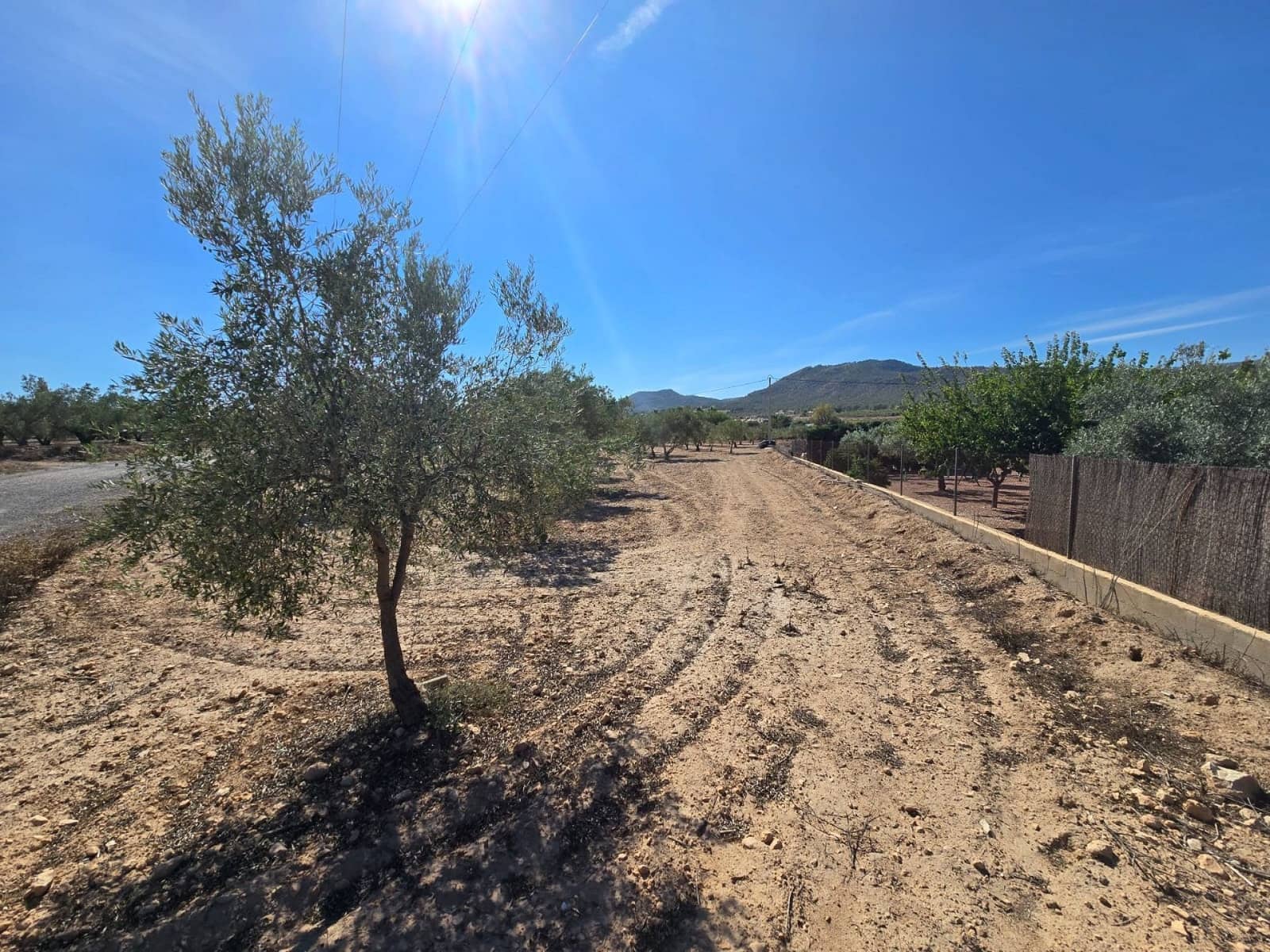 Teren niezagospodarowany na sprzedaż w Salinas - 60 500 € (Ref: 9301343)