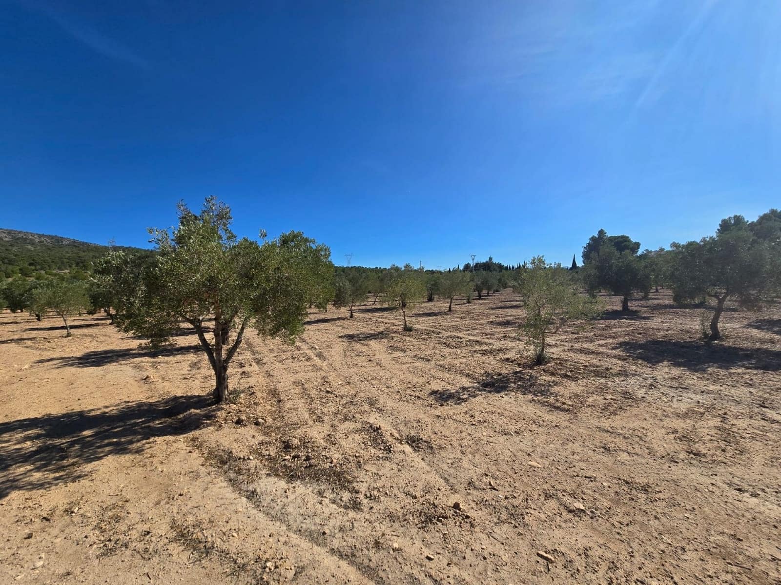 Teren niezagospodarowany na sprzedaż w Salinas - 60 500 € (Ref: 9301343)