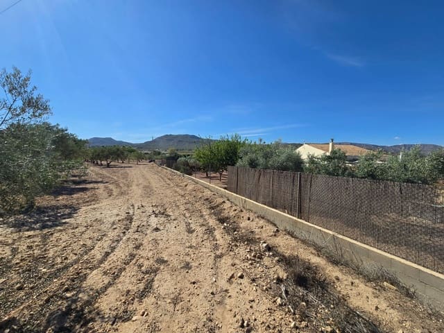 Undeveloped Land for sale in Salinas - € 60,500 (Ref: 9301343)