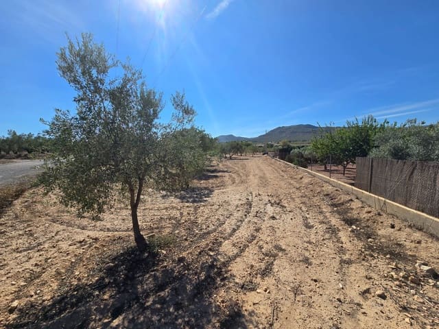 Undeveloped Land for sale in Salinas - € 60,500 (Ref: 9301343)