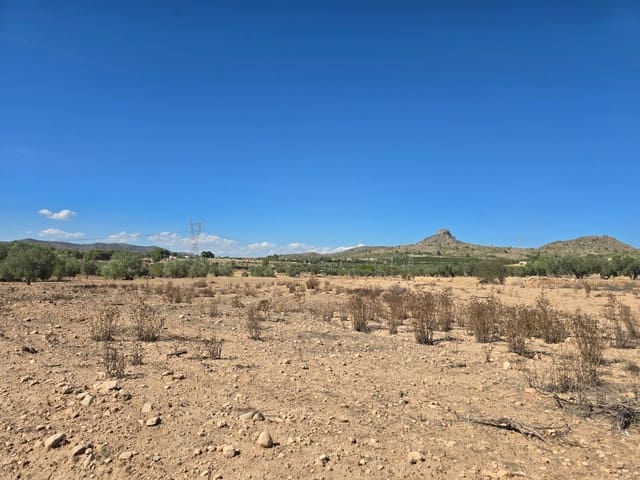 Undeveloped Land for sale in Salinas - € 33,500 (Ref: 9301344)