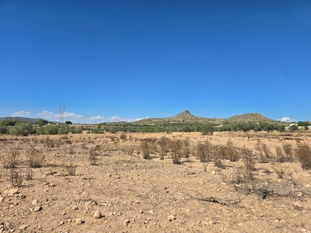 Undeveloped Land for sale in Salinas - € 33,500 (Ref: 9301344)