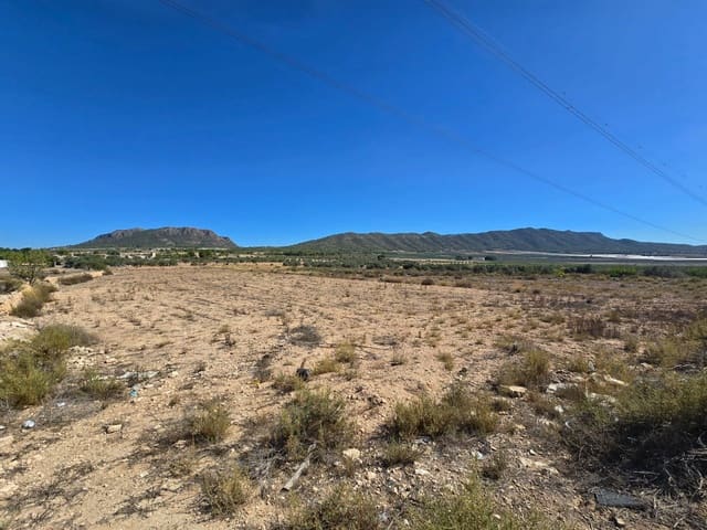 Undeveloped Land for sale in Salinas - € 33,500 (Ref: 9301344)