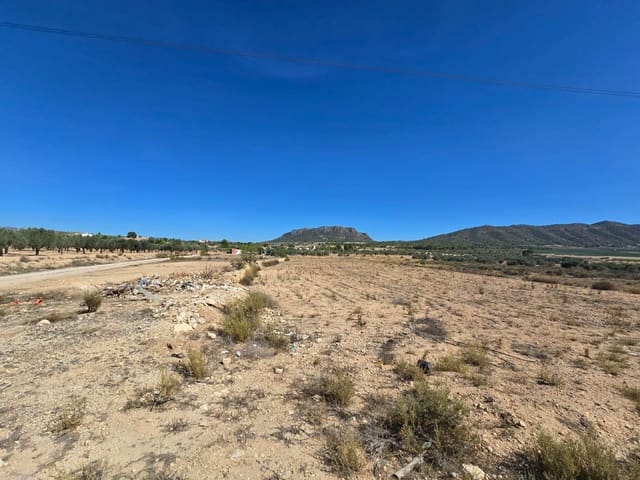 Undeveloped Land for sale in Salinas - € 33,500 (Ref: 9301344)