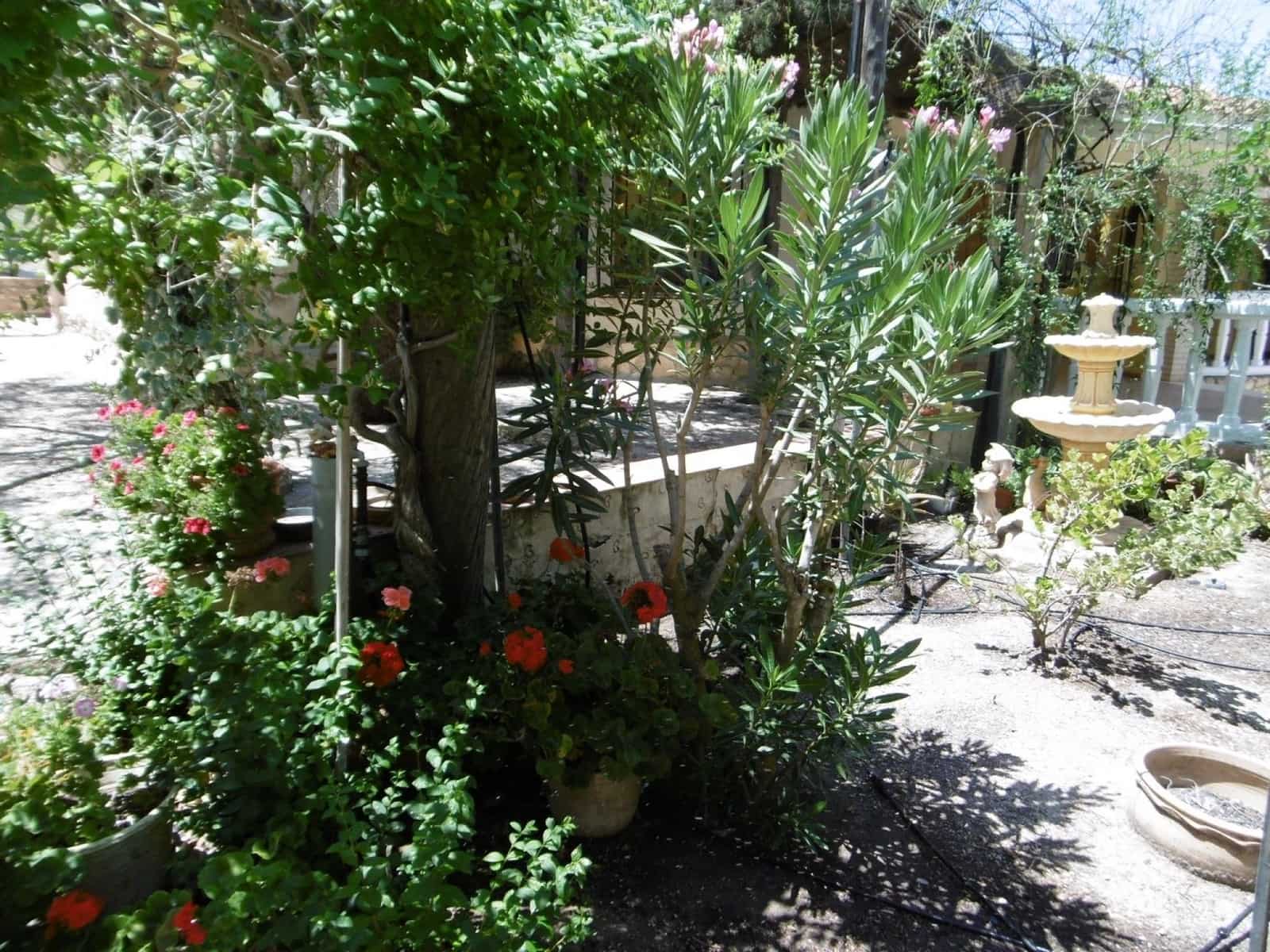 5 camera da letto Villa in vendita in Yecla con piscina garage - 249.000 € (Rif: 9301346)