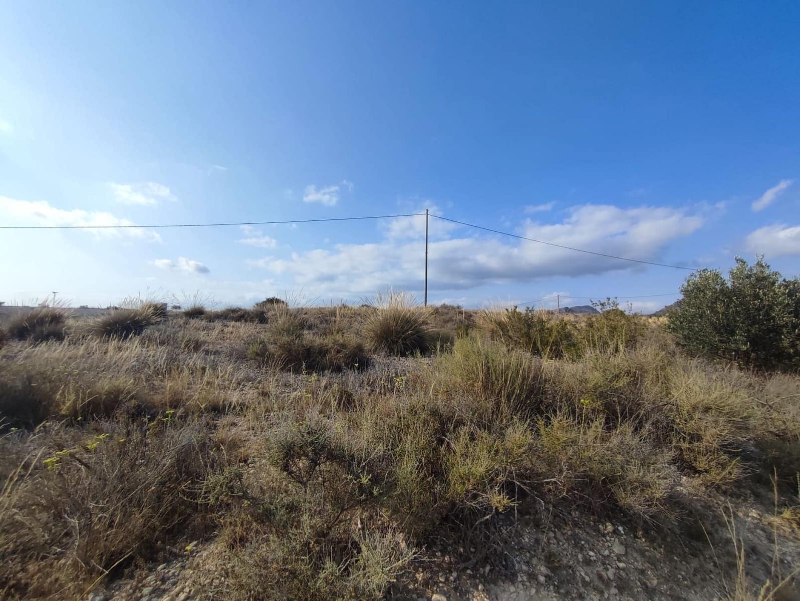 Grunde uden byggetilladelser til salg i Sax - € 45.000 (Ref: 9301349)