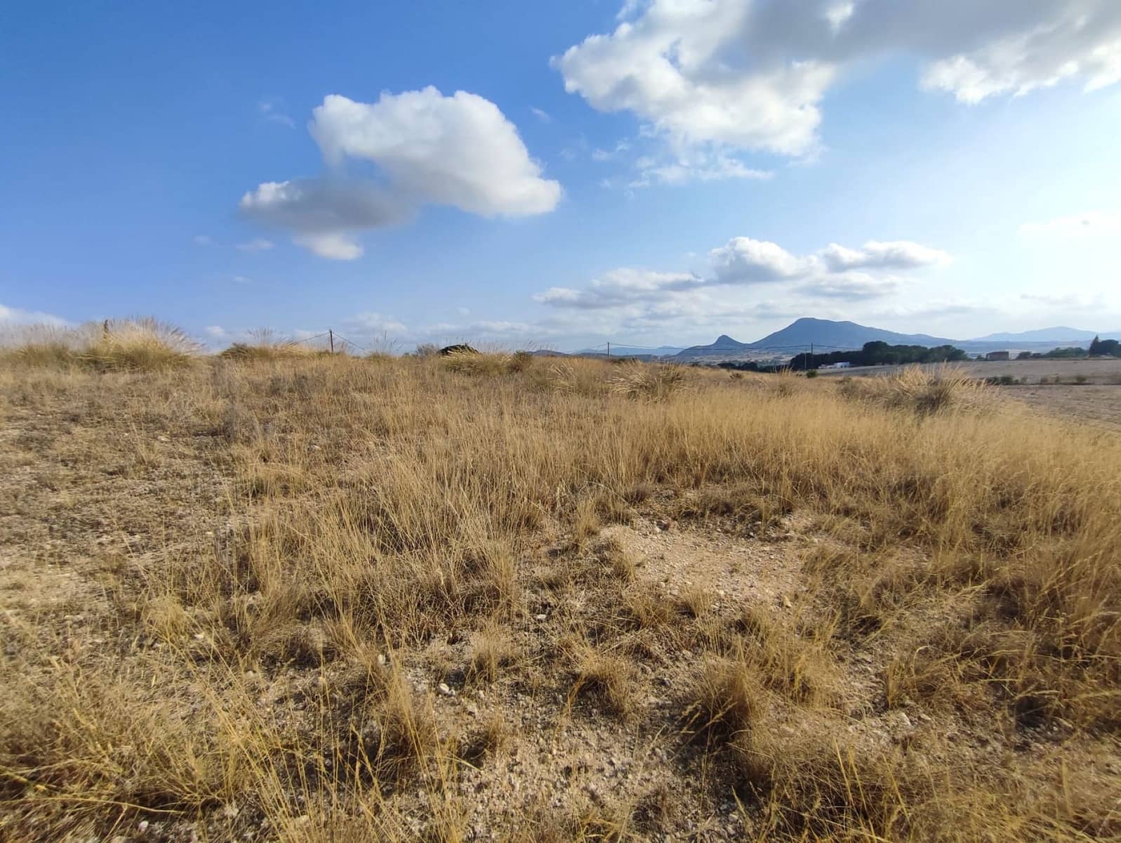 Grunde uden byggetilladelser til salg i Sax - € 45.000 (Ref: 9301349)