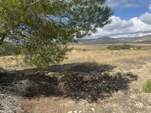 Grond te koop in Monóvar / Monóver - € 12.000 (Ref: 9301351)