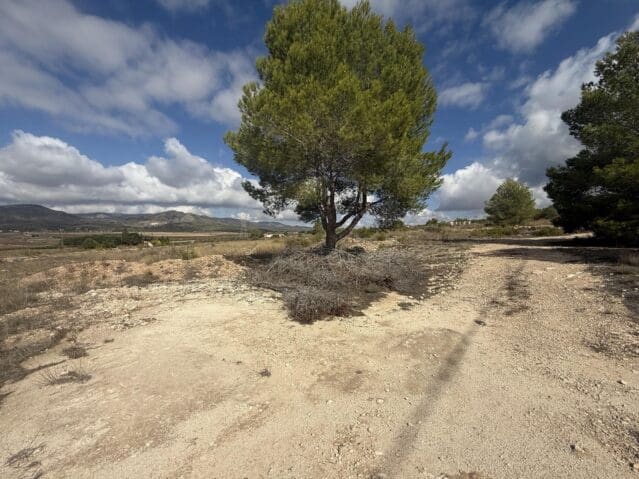 Grond te koop in Monóvar / Monóver - € 12.000 (Ref: 9301351)