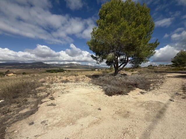 Grond te koop in Monóvar / Monóver - € 12.000 (Ref: 9301351)