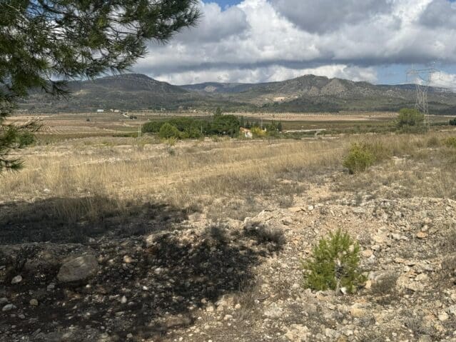 Grond te koop in Monóvar / Monóver - € 12.000 (Ref: 9301351)