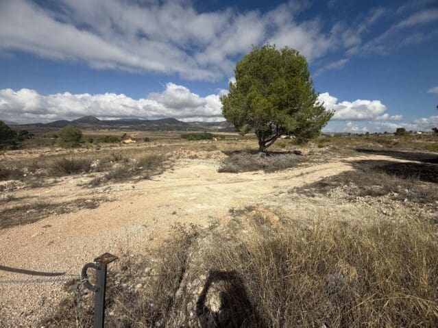 Grond te koop in Monóvar / Monóver - € 12.000 (Ref: 9301351)