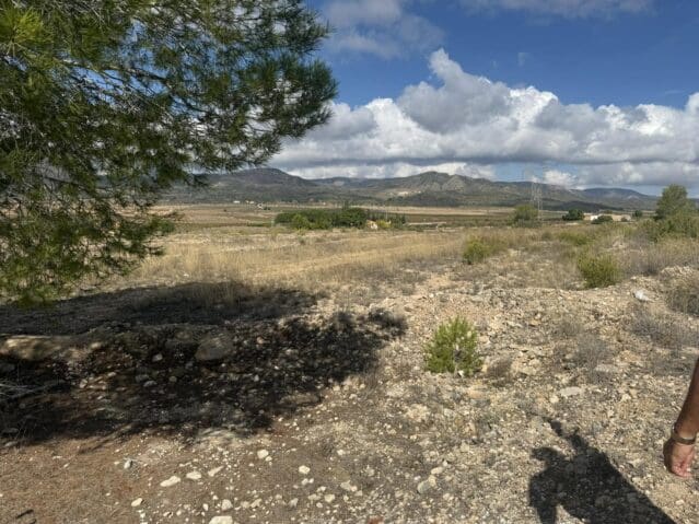 Grond te koop in Monóvar / Monóver - € 12.000 (Ref: 9301351)