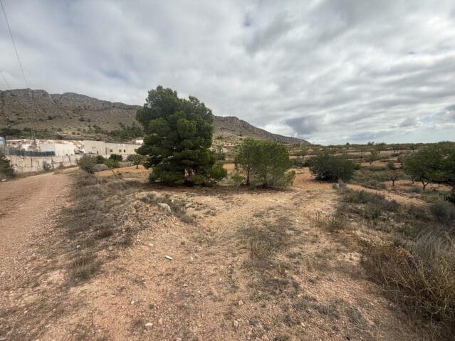 Teren niezagospodarowany na sprzedaż w La Romana - 12 000 € (Ref: 9301352)