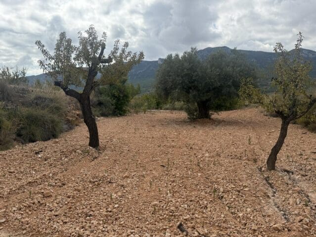 Teren niezagospodarowany na sprzedaż w La Romana - 12 000 € (Ref: 9301352)