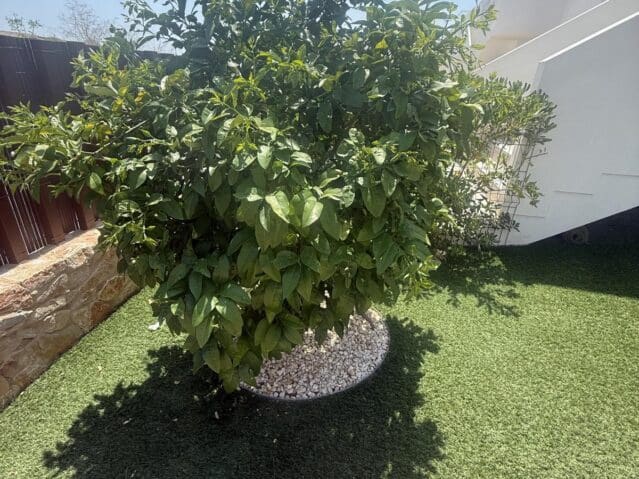 2 soveværelse Lejlighed til salg i Vistabella med swimmingpool - € 274.950 (Ref: 9301357)