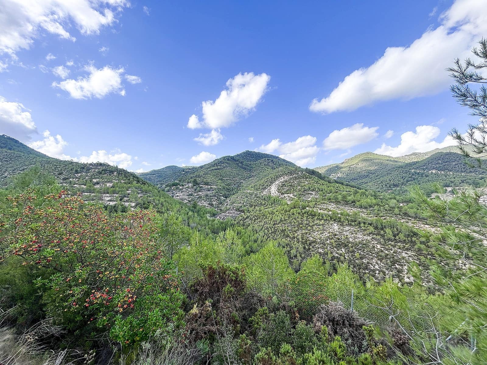 2 slaapkamer Finca/Landhuis te koop in Torremanzanas met zwembad - € 220.000 (Ref: 9312310)