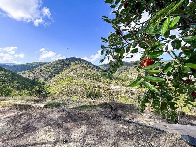 2 bedroom Finca/Country House for sale in Torremanzanas with pool - € 220,000 (Ref: 9312310)