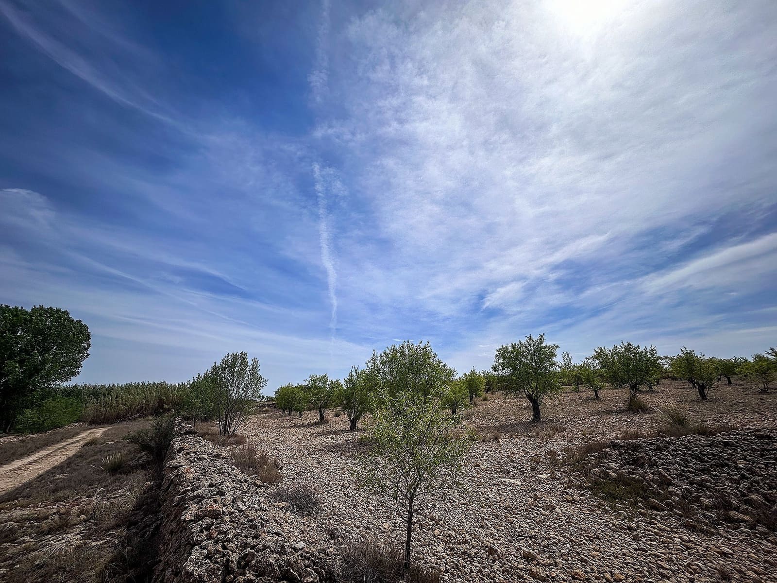 Finca/Maison de Campagne à vendre à Almansa avec garage - 140 000 € (Ref: 9334350)