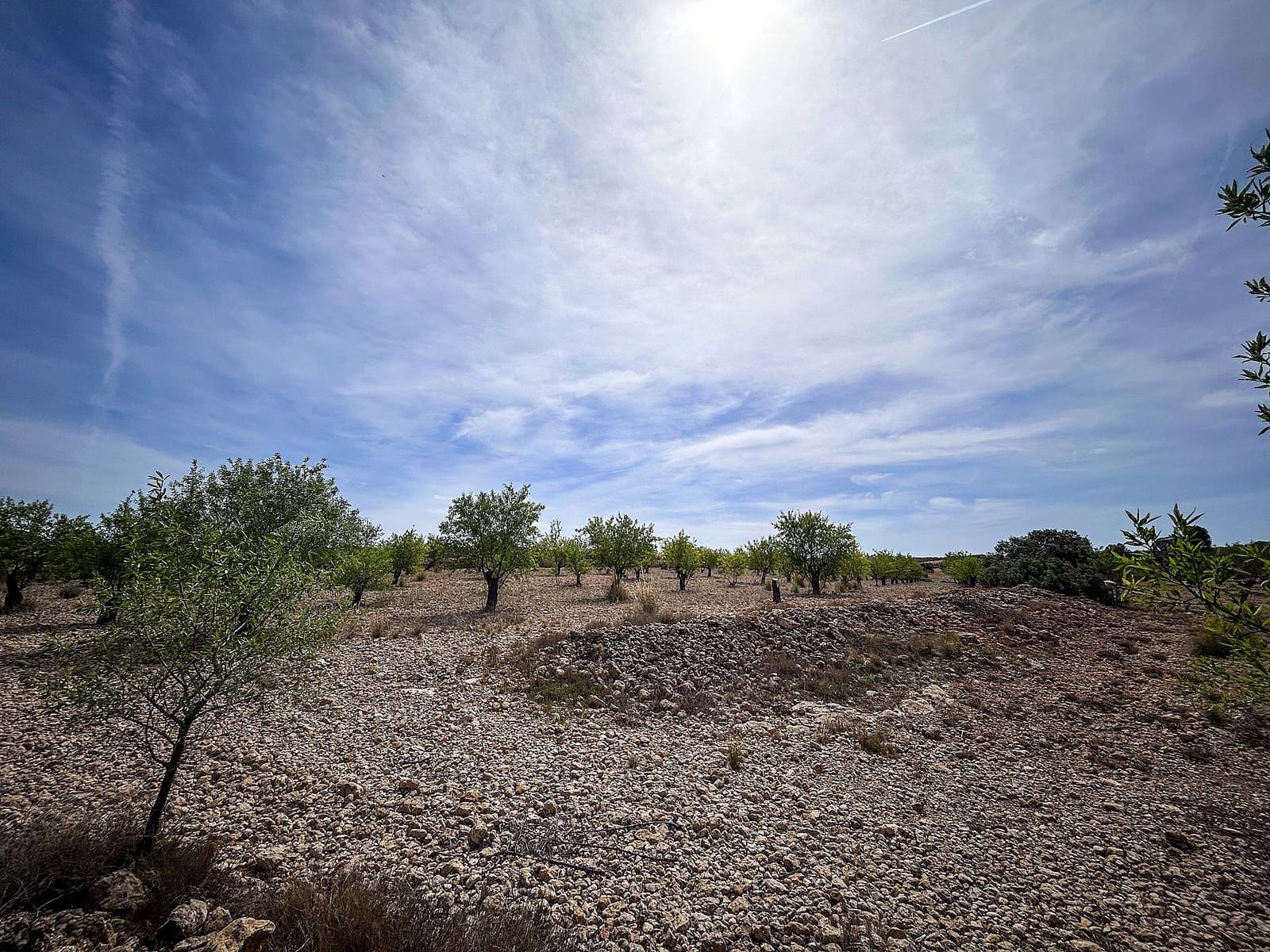Finca/Maison de Campagne à vendre à Almansa avec garage - 140 000 € (Ref: 9334350)
