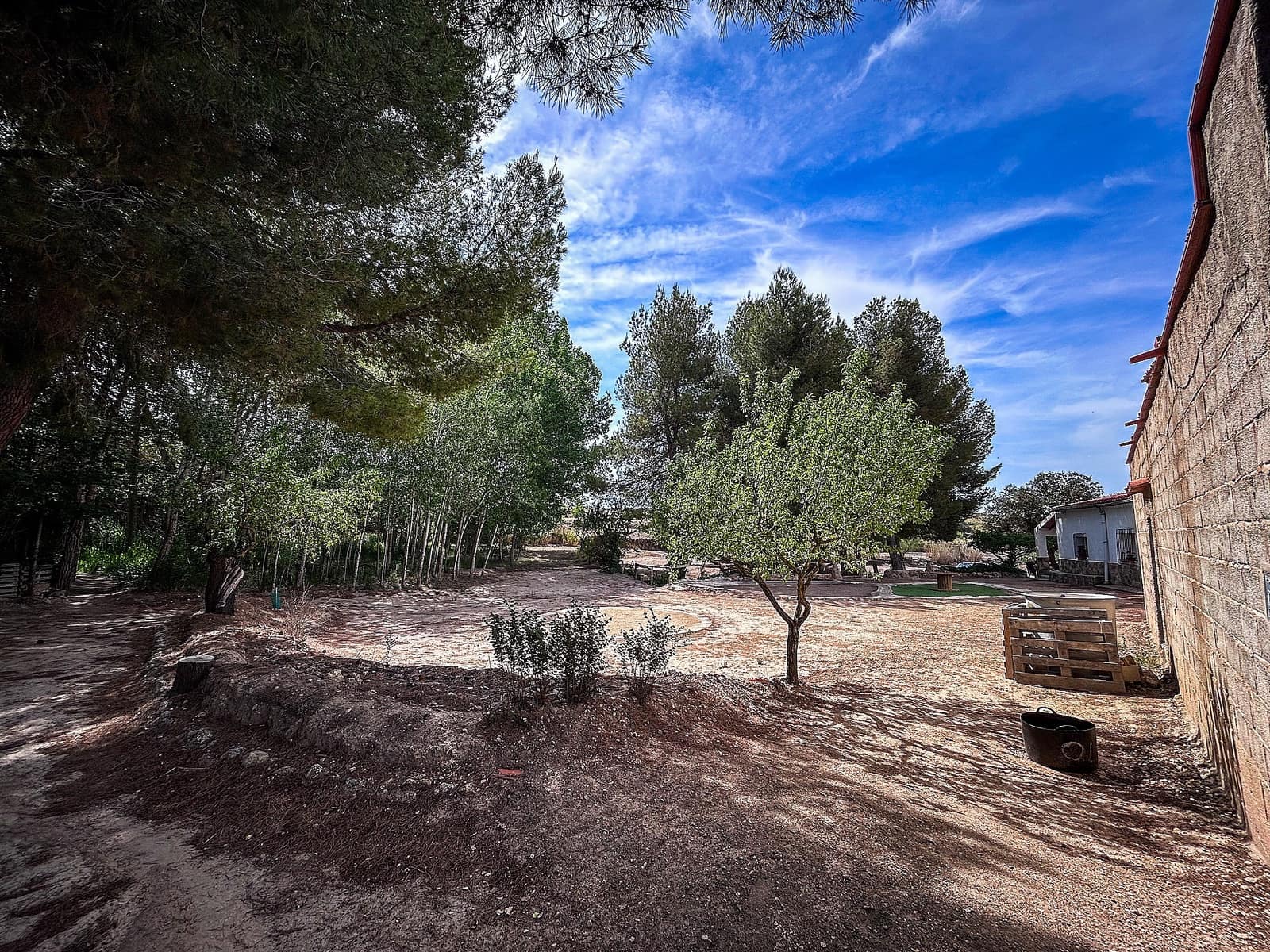 Finca/Maison de Campagne à vendre à Almansa avec garage - 140 000 € (Ref: 9334350)