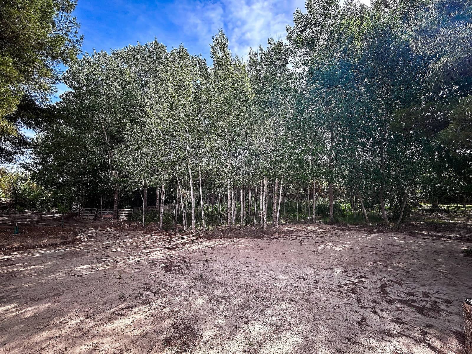 Finca/Maison de Campagne à vendre à Almansa avec garage - 140 000 € (Ref: 9334350)