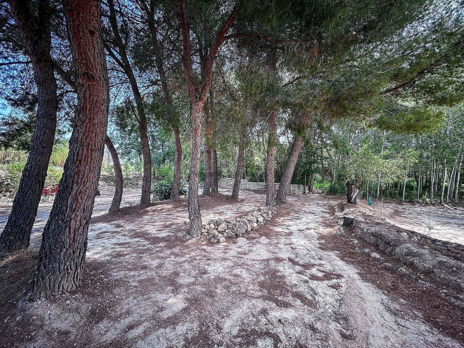 Finca/Landgut zu verkaufen in Almansa mit Garage - 140.000 € (Ref: 9334350)