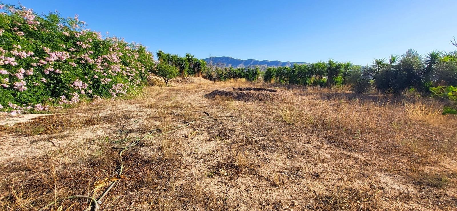 3 soverom Villa til salgs i La Romana - € 329 999 (Ref: 9371697)