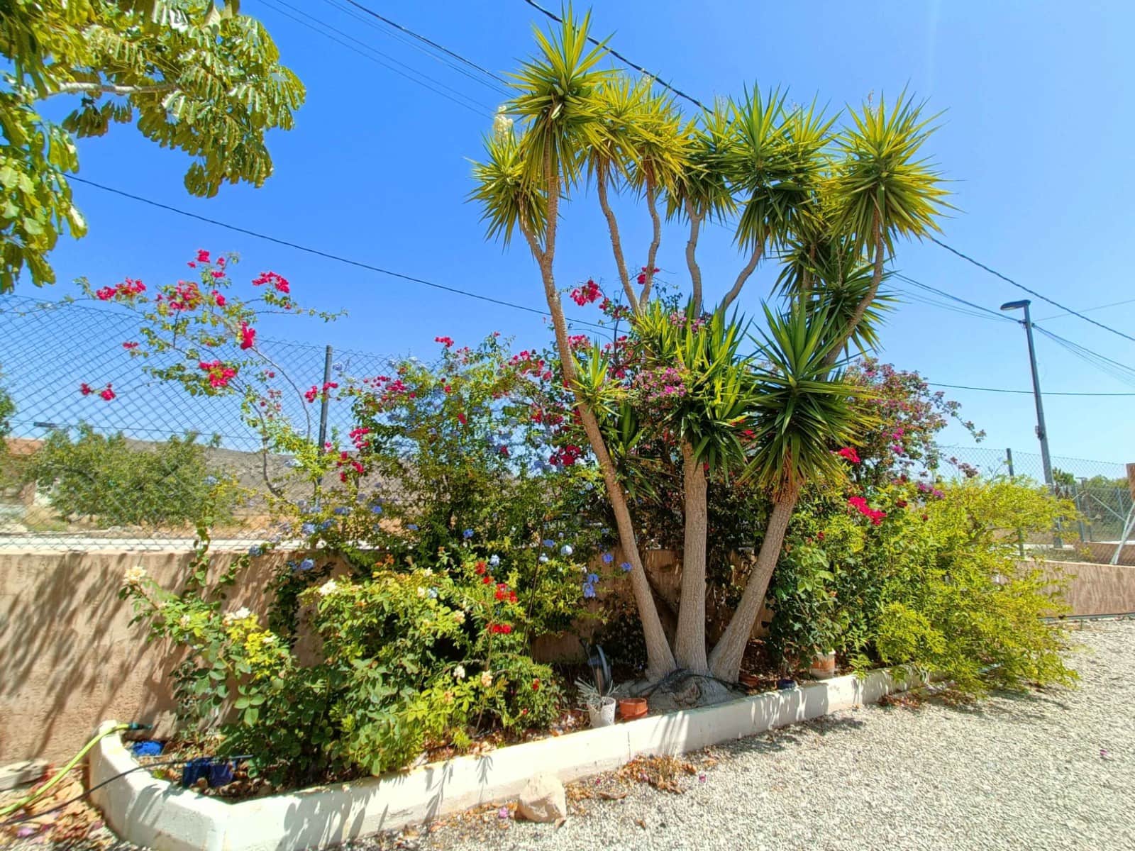 5 bedroom Villa for sale in Abanilla - € 392,000 (Ref: 9371699)