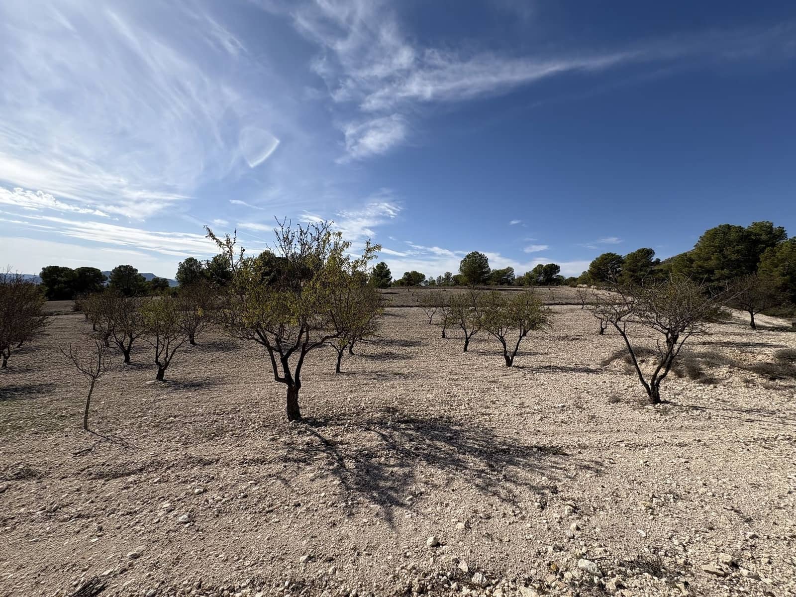 2 quarto Quinta/Casa Rural para venda em Sax - 199 995 € (Ref: 9371702)