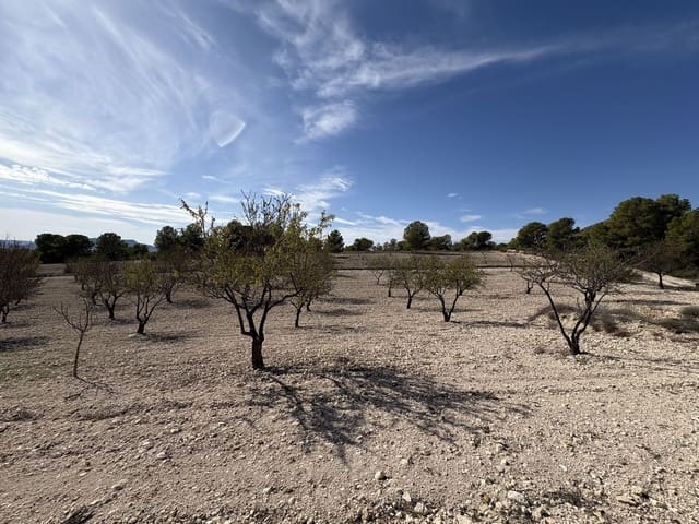 2 bedroom Finca/Country House for sale in Sax - € 199,995 (Ref: 9371702)