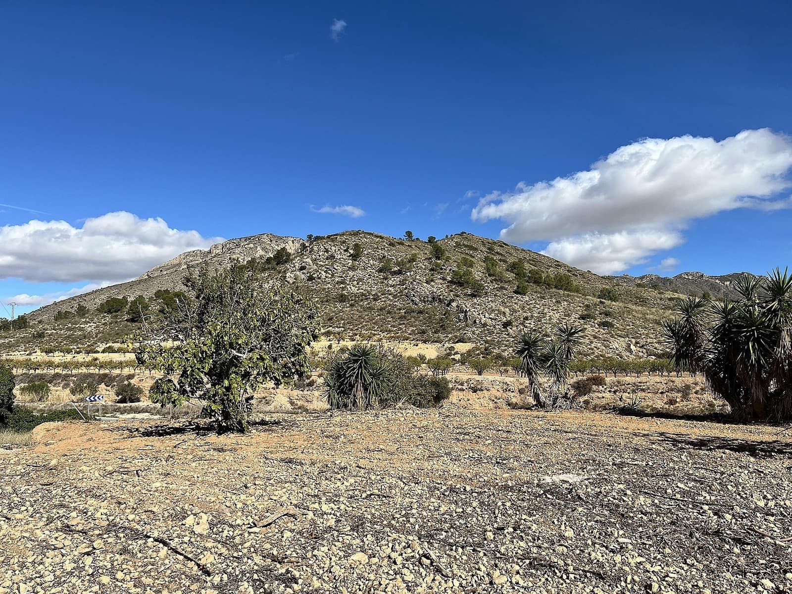 4 Zimmer Finca/Landgut zu verkaufen in El Canton - 149.950 € (Ref: 9378688)