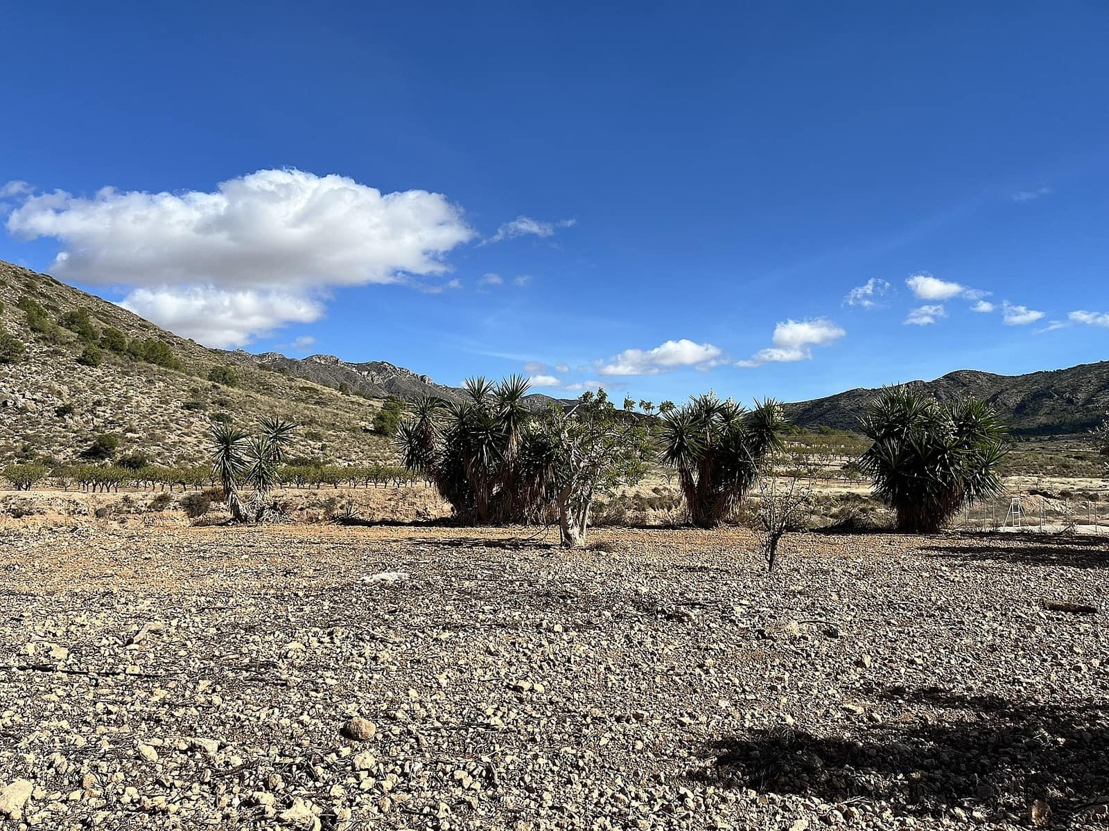 4 Zimmer Finca/Landgut zu verkaufen in El Canton - 149.950 € (Ref: 9378688)