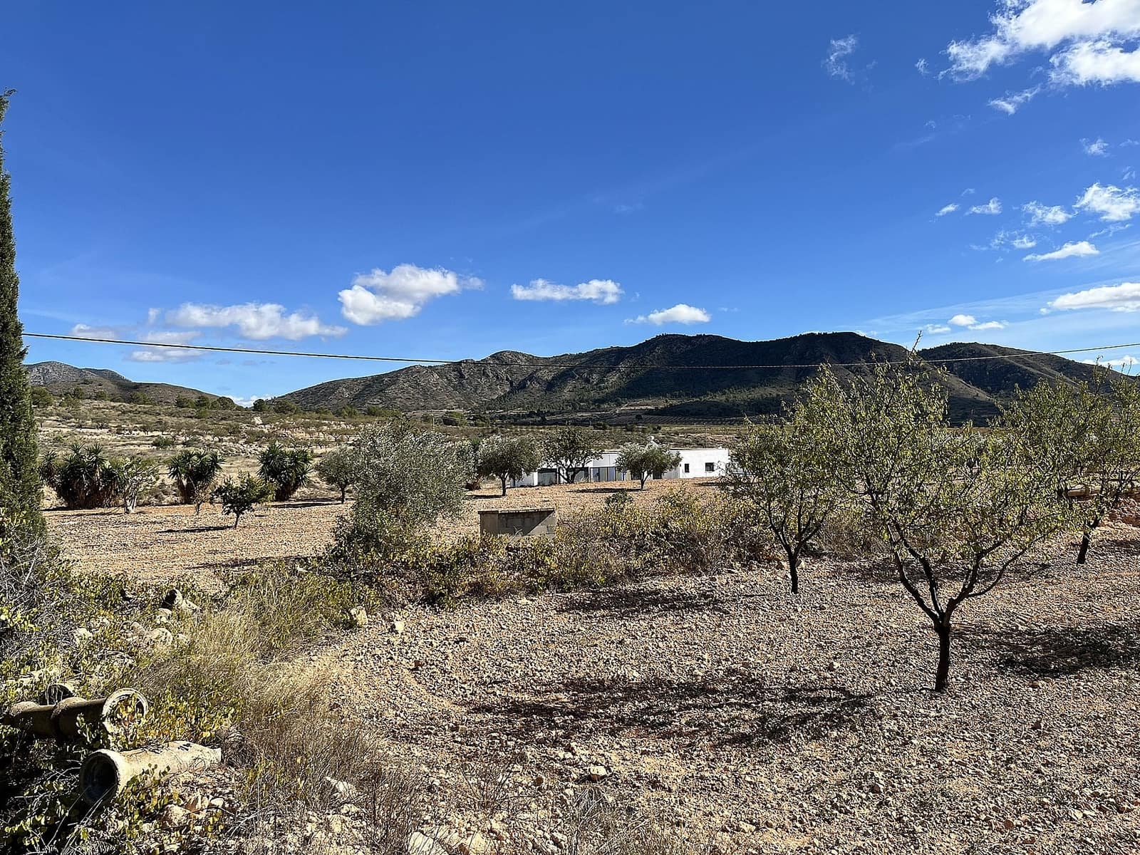 4 Zimmer Finca/Landgut zu verkaufen in El Canton - 149.950 € (Ref: 9378688)