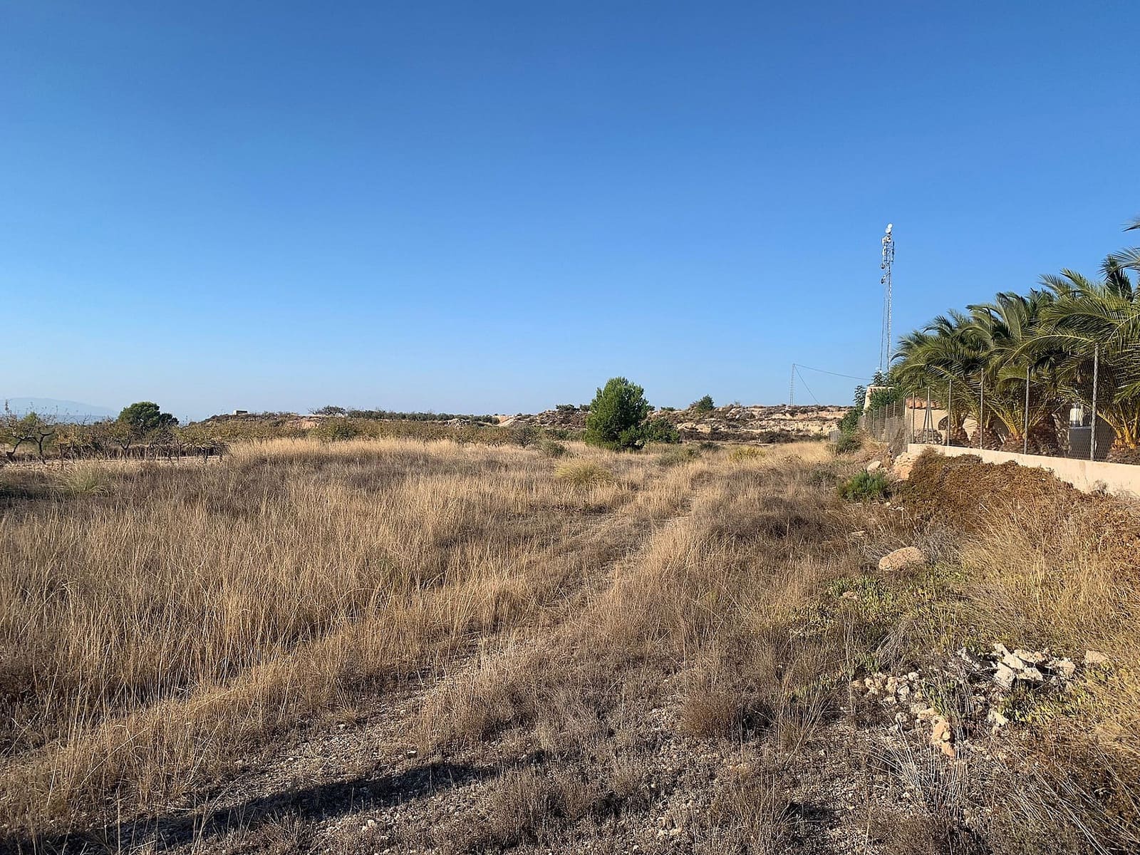 Ubebygd land til salgs i Macisvenda - € 32 000 (Ref: 9378689)