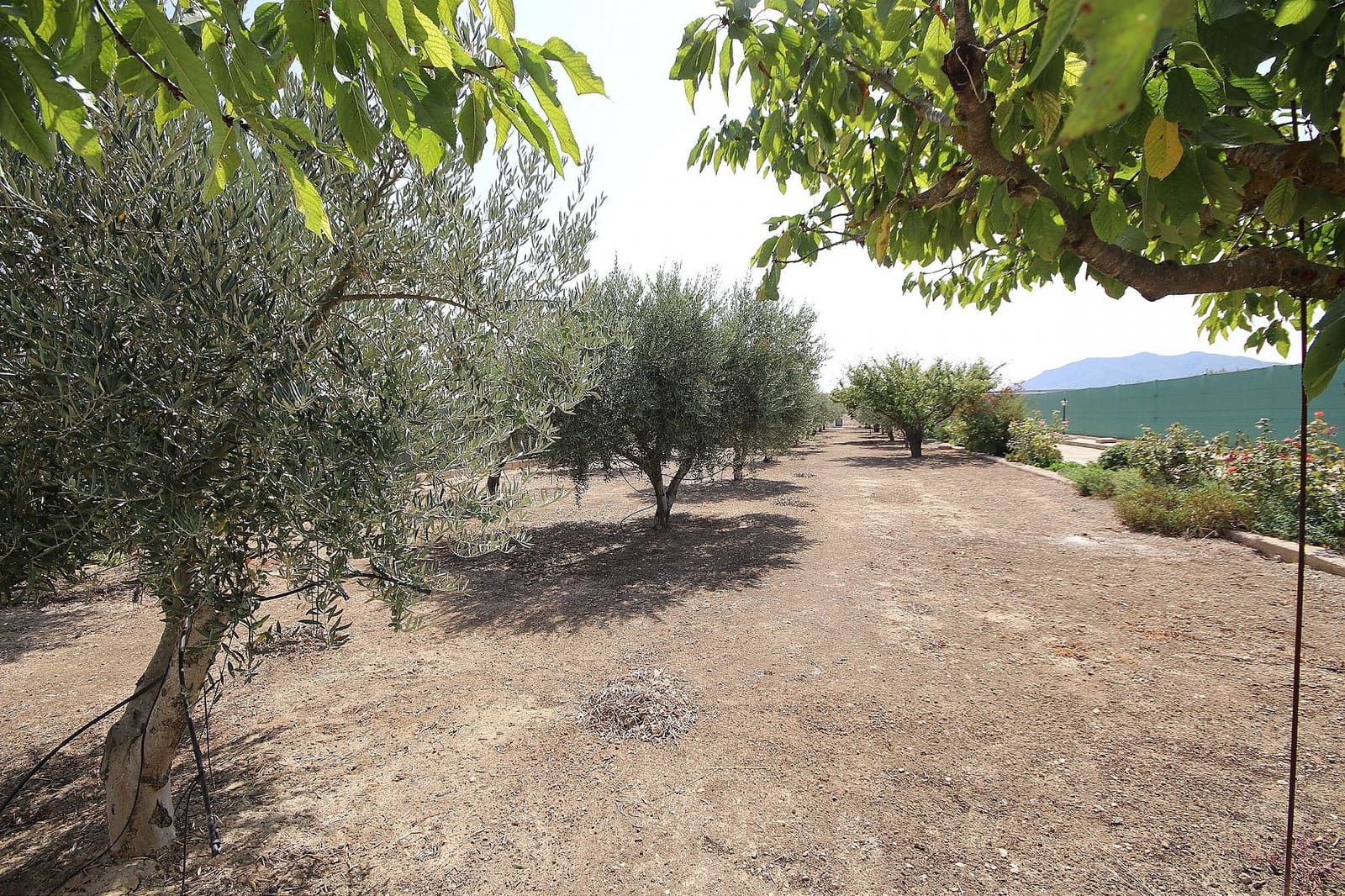 4 bedroom Villa for sale in Caudete with pool - € 219,995 (Ref: 9398150)