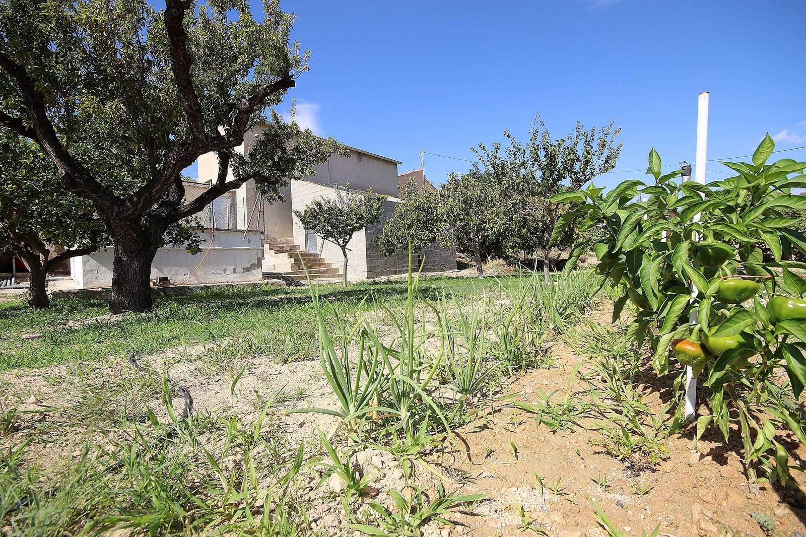 3 bedroom Finca/Country House for sale in Monovar / Monover with pool garage - € 259,995 (Ref: 9402847)