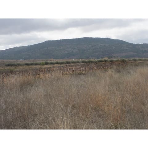 Ubebygd land til salgs i Culebron, Pinoso - € 40 000 (Ref: 9424260)