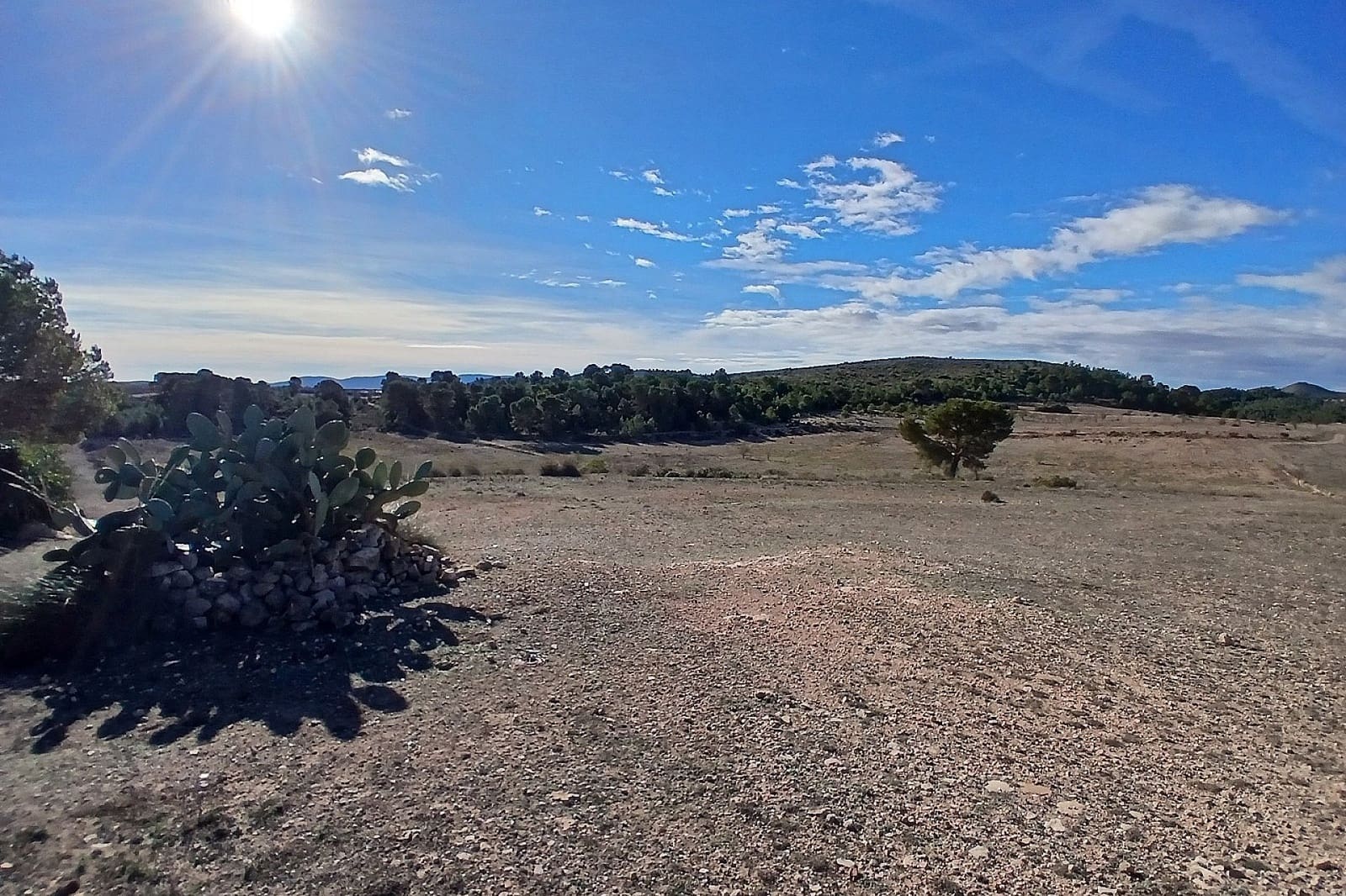 6 soveværelse Finca/Landehus til salg i Caudete med swimmingpool garage - € 199.950 (Ref: 9439659)