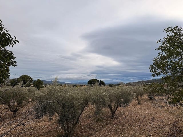 Ubebygd land til salgs i Onil - € 90 000 (Ref: 9439661)